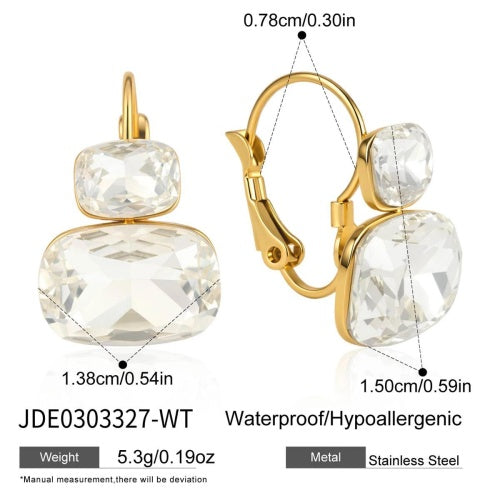 Boucles d’oreilles en acier – E0303327-WT