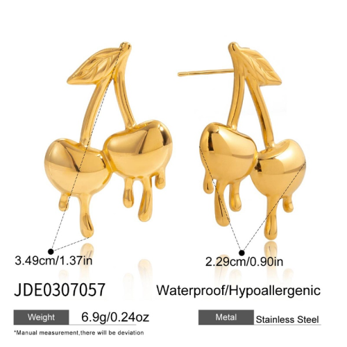 Boucles d’oreilles en acier – E0307057