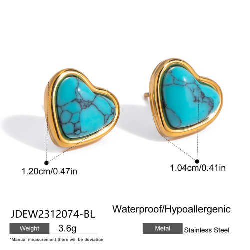 Boucles d’oreilles en acier – EW2312074-BL