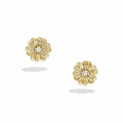 BO Plaqué Or – 22EC0271CZ