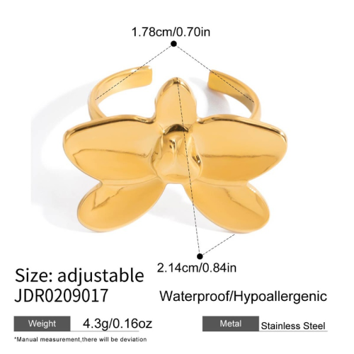 Bague en acier – BG0209017