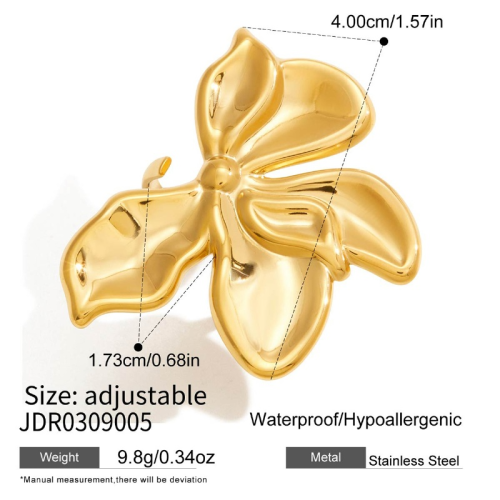 Bague en acier – BG0309005