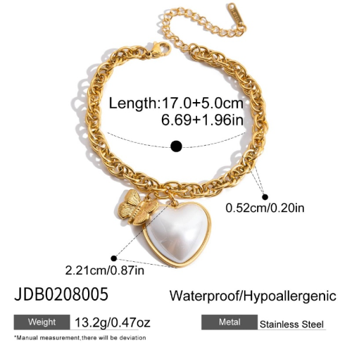 Bracelet en acier – BR0208005