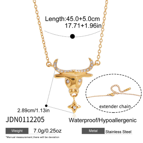 Collier en acier – COL0112205