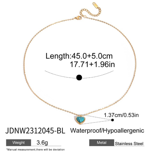 Collier en acier – COLW2312045-BL