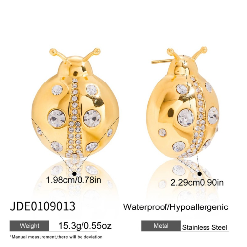 Boucles d’oreilles en acier – E0109013