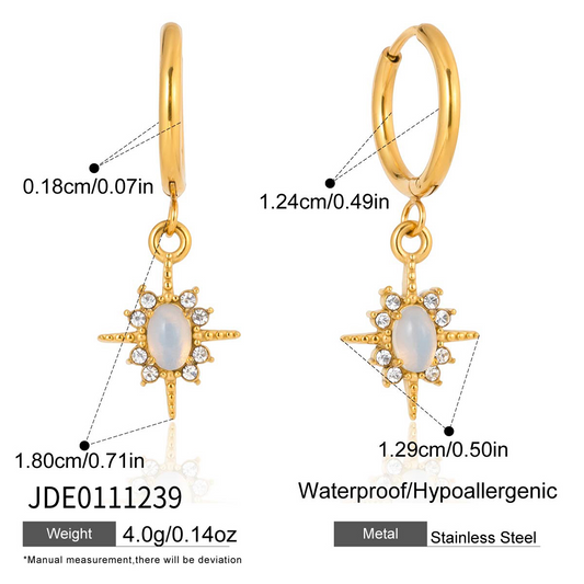 Boucles d’oreilles en acier – E0111239