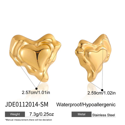 Boucles d'oreilles en acier - E0112014-SM