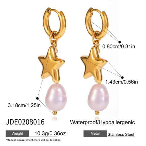 Boucles d’oreilles en acier – E0208016