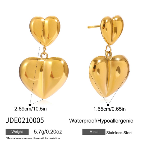 Boucles d’oreilles en acier – E0210005