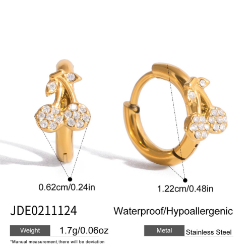 Boucles d’oreilles en acier – E0211124