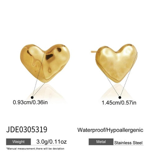 Boucles d’oreilles en acier – E0305319