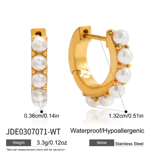 Boucles d’oreilles en acier – E0307071-WT