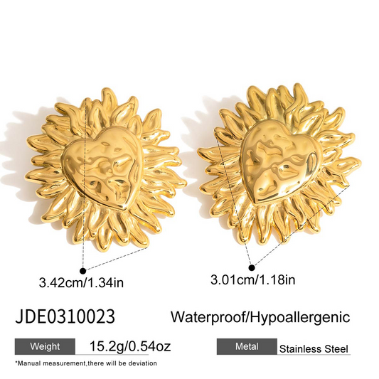 Boucles d'oreilles en acier - E0310023