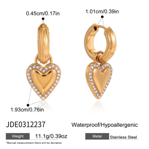 Boucles d’oreilles en acier – E0312237