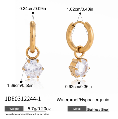 Boucles d’oreilles en acier – E0312244-1
